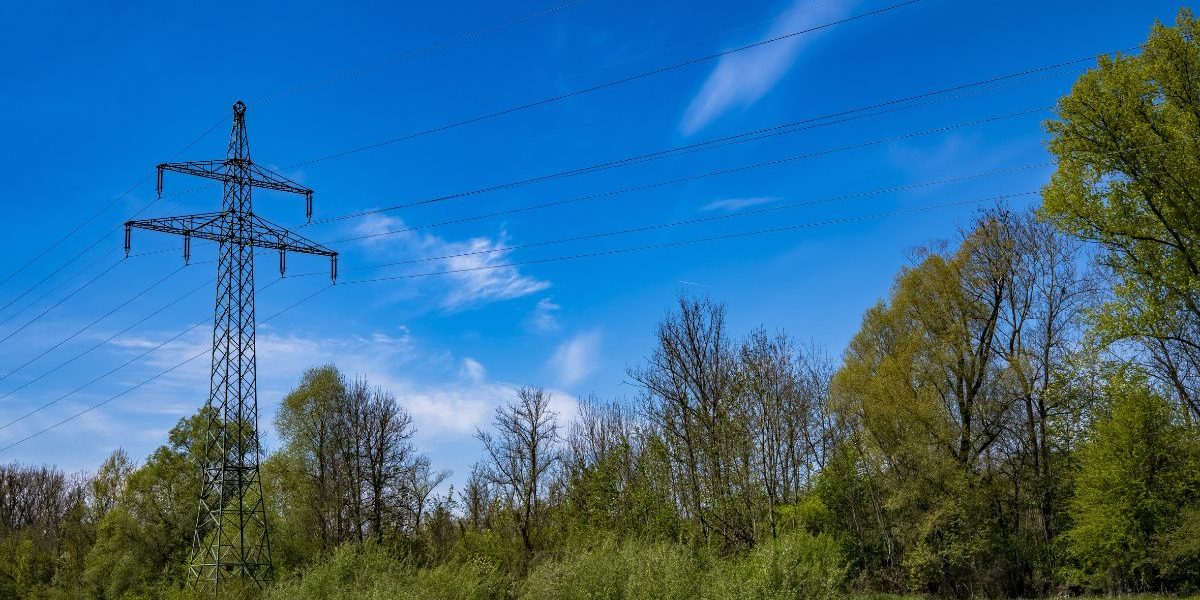 power line surrounded by trees on a sunny day
