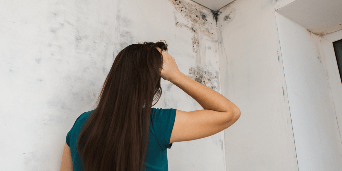 Frustrated person looking at mold on wall